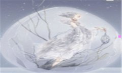 巧克力的做法-巧克力怎么做美食