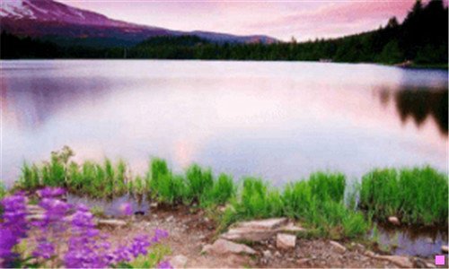 一开书店的进货渠道