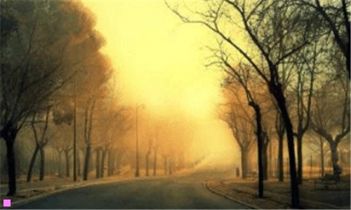 三晨光文具加盟大概费用