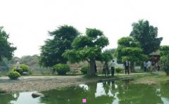 智能家居分类-中国智能家居前十名