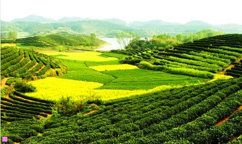 一南戴河旅游景点
