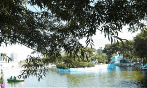 一圆通快递公司