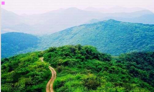 二奉化王家岭村