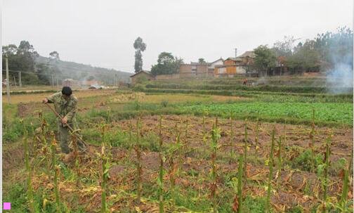 一千岛湖旅游网