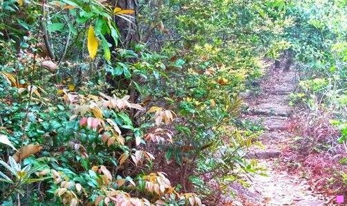 一青岛网络