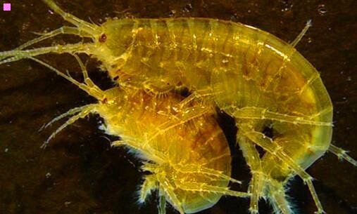 二沈阳工业大学地址在哪个区