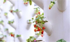 膜拜表情-微信表情含义解析