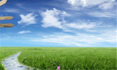 二大奔莎丽