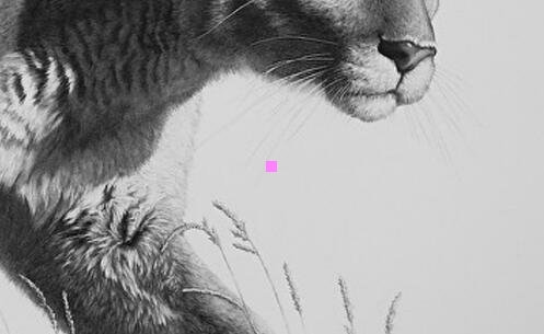 三文化课350的美术生学校推荐