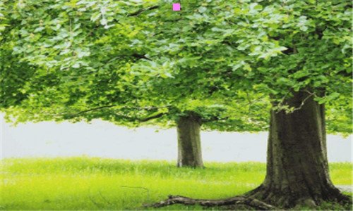 三罗弗敦群岛位置图片