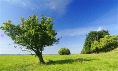 二bbc拍的中国纪录片