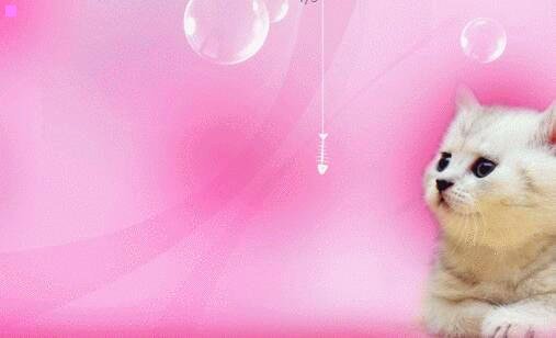 二哈弗h9评价如何