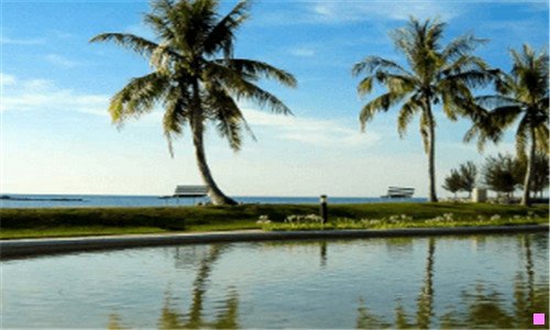 一南京土著有多少人