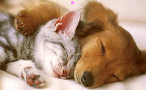 一兰州白塔山隧道设计方案