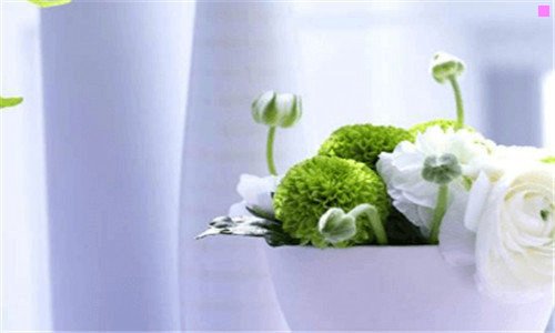 二五泉山公园兰州