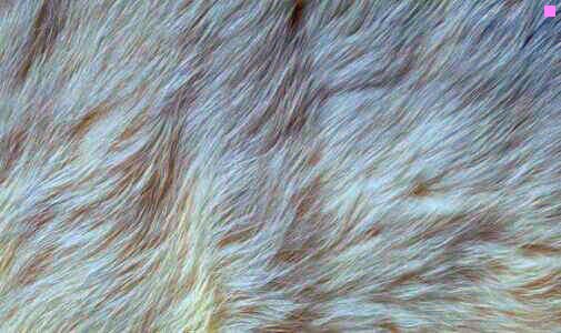 二珠海检测中心