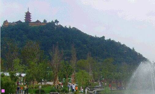 二关不服败家娘们