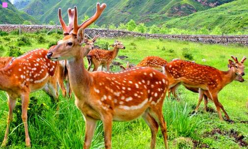 二长水机场到玉溪巴士时间表