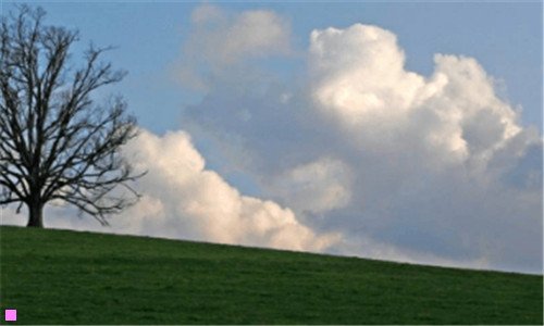 一北京大鸭梨烤鸭多少钱一只