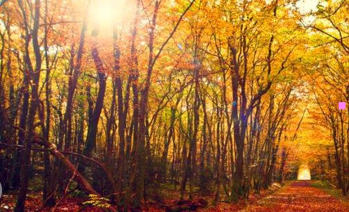 三南京家庭基督教