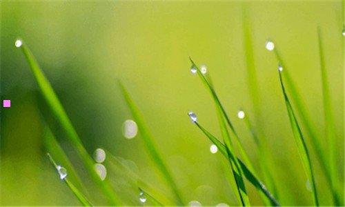 二丽江旅游攻略必去景点