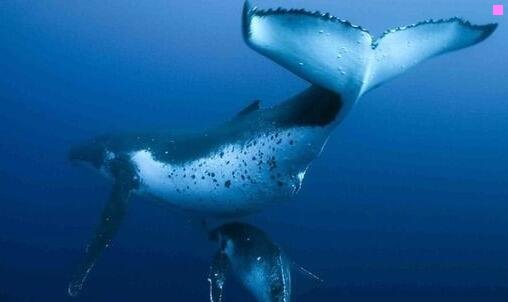 三张家口职高有什么专业