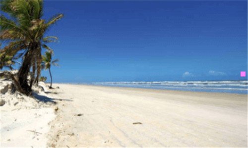 一疯狂的外星人