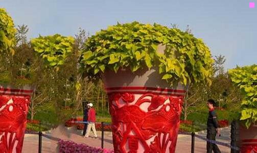 二盐源县美食推荐