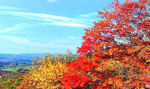 三成都到丽江的高铁