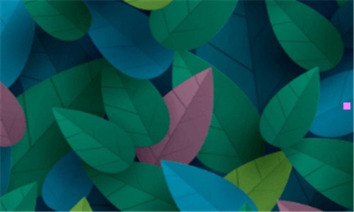 二学编程大概多少钱一个月