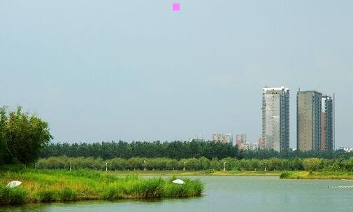 三印尼为什么仇视华人