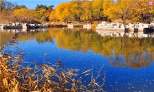 二琴岛律师事务所从业律师名单