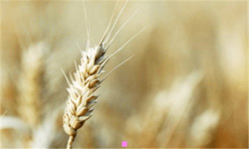 二苹果手机百度云tar格式怎么打开