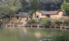 原汁机-家用原汁机什么牌子好用