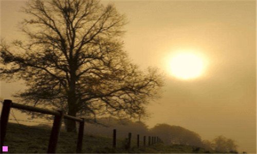 二西游记第六回原文