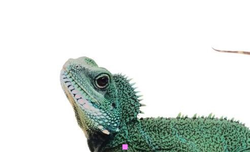 一美加净怎么样