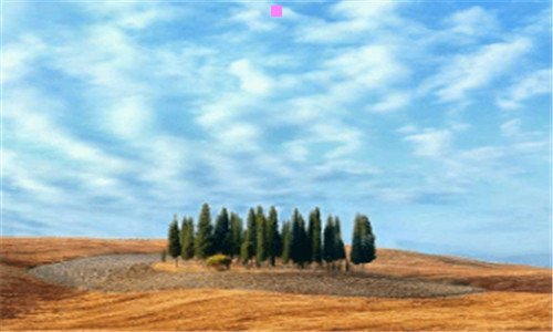 二花王纸尿裤厂家联系方式