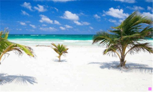 一李莎旻子