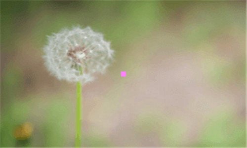 三外地人在鹤岗买房的条件