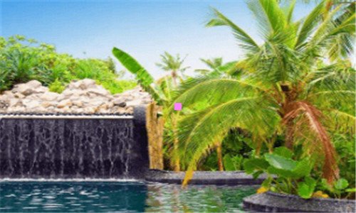 三黑塔利亚梵蒂冈