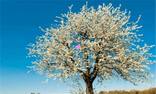 三oled电视值得买吗