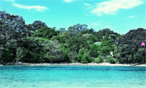 二奥迪sportback35tfsi价格