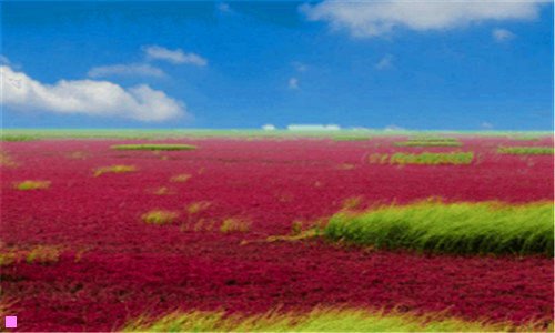 二katespade女包什么档次