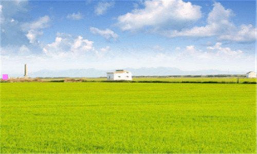 三正定大佛寺电话是多少