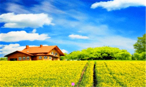 一屋脊