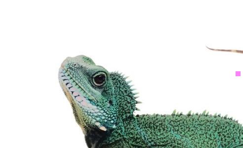 一飞车情侣名