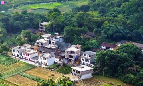 三阿尔法汽车多少钱一辆