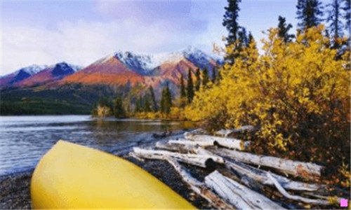 二新能源保姆车