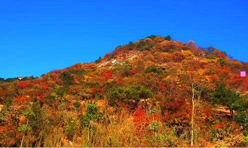 一中国能建