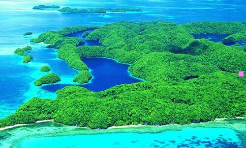 二joyhetail镜的欢迎会